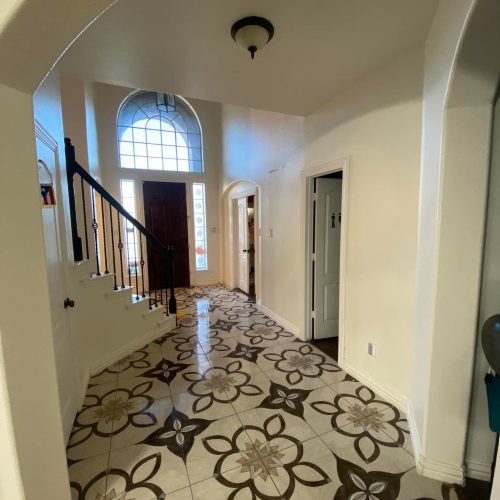 480354875_1163217948532982_4359875447963369095_n