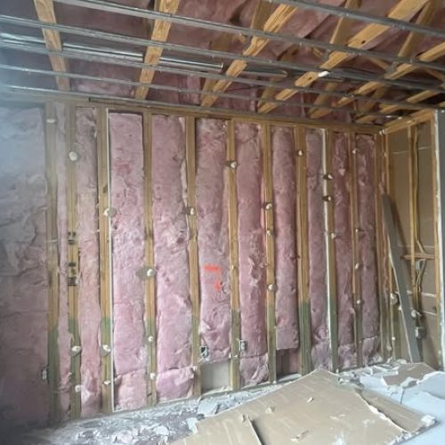 481902236_1173496427505134_4581579444436492573_n